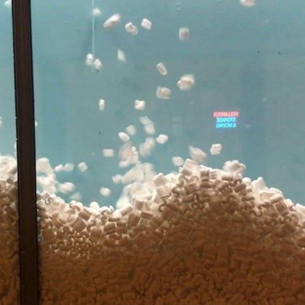 Meet your Posher, Madeline